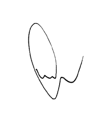Dwyer Electronic Signature